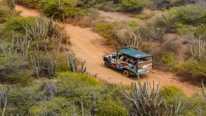 /book-tours/Curacao-Activities/Curacao-Activities-Jeep-West-4.webp